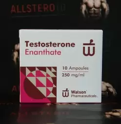 Watson New Testosterone Enanthate 250mg/ml - ЦЕНА ЗА 10 ампул