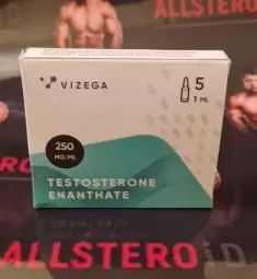 Vizega TESTOSTERONE E 250MG\ML - цена за 5 ампул.