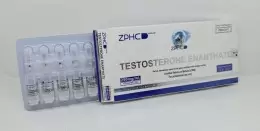 ZPHC NEW Testosterone E