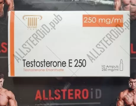 Olymp Testosterone E 250 250мг\мл - цена за 10 ампул