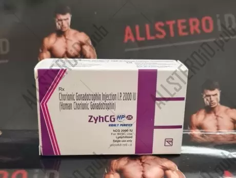 ZyHCG 2000iu (аптека индия)