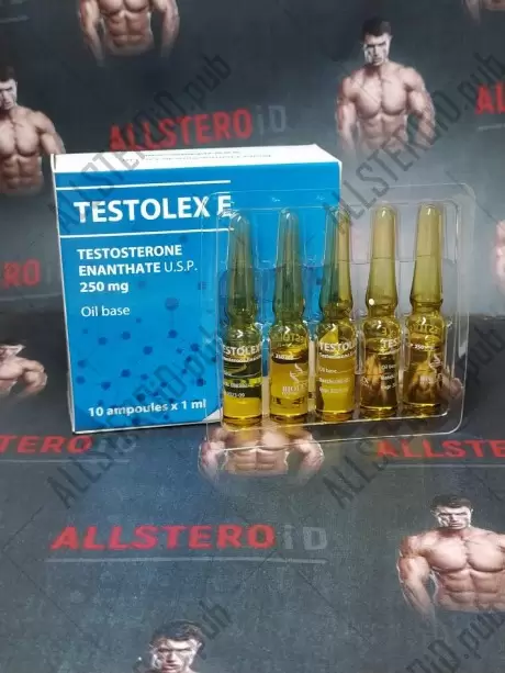 Testosterone Enantate 250mg/ml - цена за 10 амп