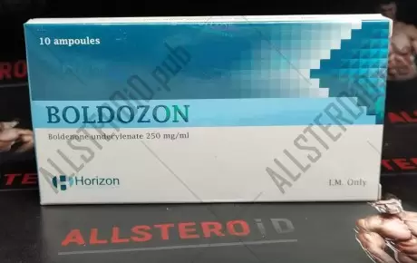 HORIZON BOLDOZON