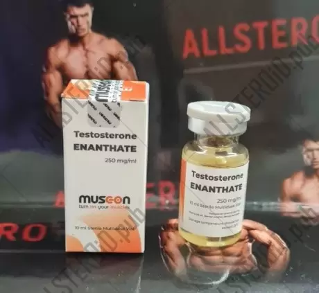 Musc-on Testosterone Enanthate 250mg/ml - цена за 10 мл