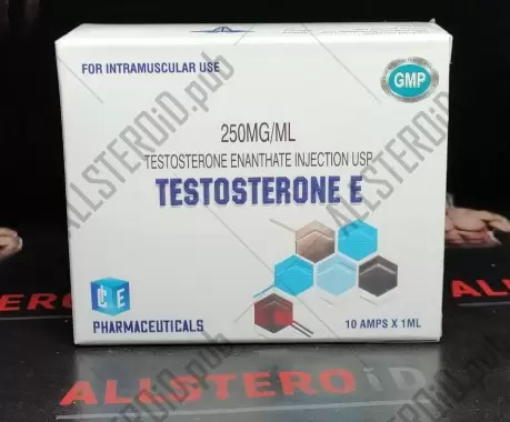 ICE TESTOSTERONE E 250mg/ml - ЦЕНА ЗА 1 АМПУЛУ