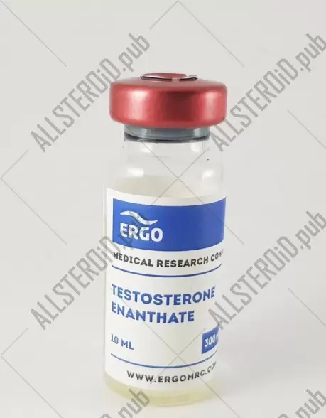 Testosterone Enantate 300 (Ergo)