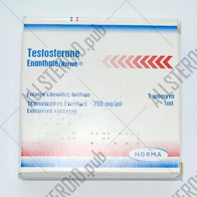 Testosterone Enanthate 250 mg (Norma)