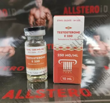 Testosterone E 300 (Olymp Labs)
