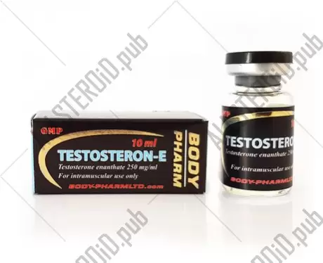 Testosteron E 250 (Body Pharm)