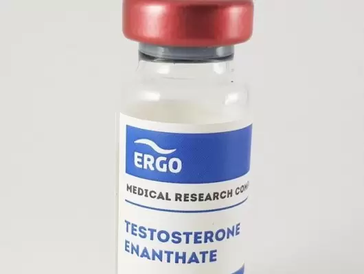 Testosterone Enantate 300 (Ergo)