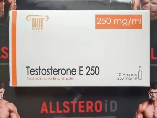 Olymp Testosterone E 250