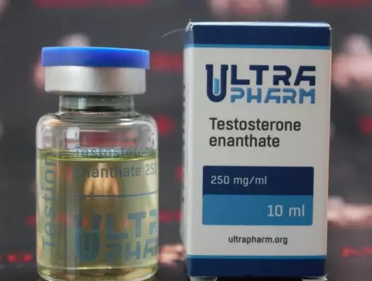 Testosterone Enanthate (Ultra Pharm)