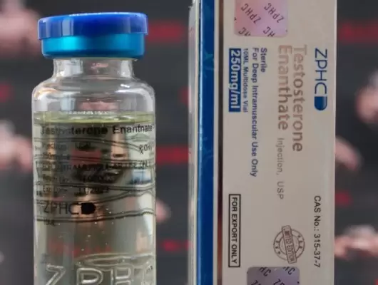 Testosterone Enanthate 250 mg/ml - (Zhengzhou)