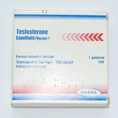Testosterone Enanthate 250 mg (Norma)