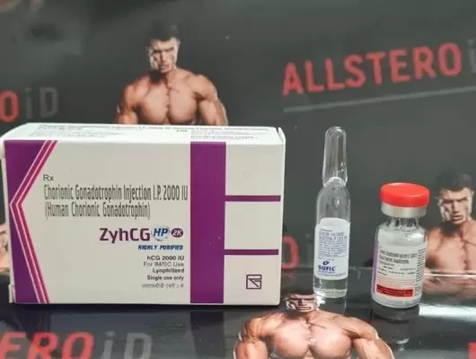 ZyHCG 2000iu (аптека индия)
