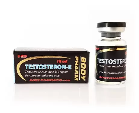 Testosteron E 250 (Body Pharm)