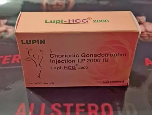 Lupi - HCG